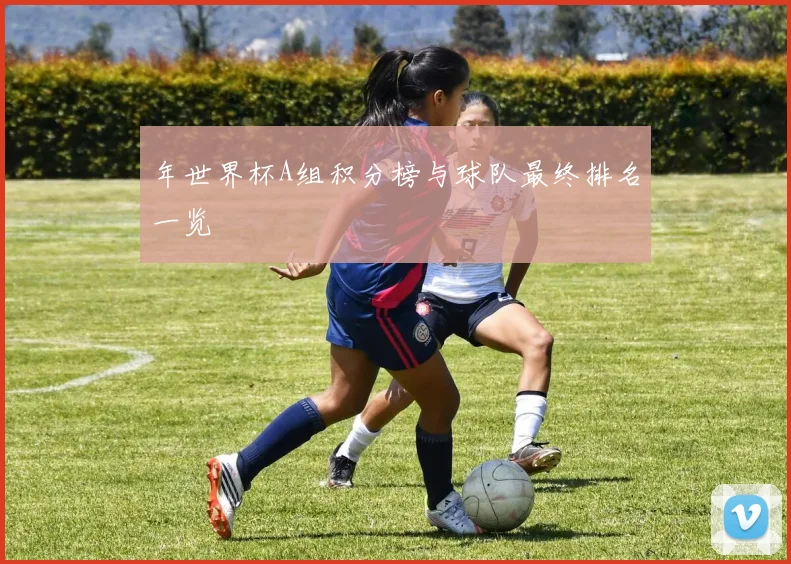年世界杯A组积分榜与球队最终排名一览
