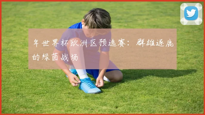年世界杯欧洲区预选赛：群雄逐鹿的绿茵战场