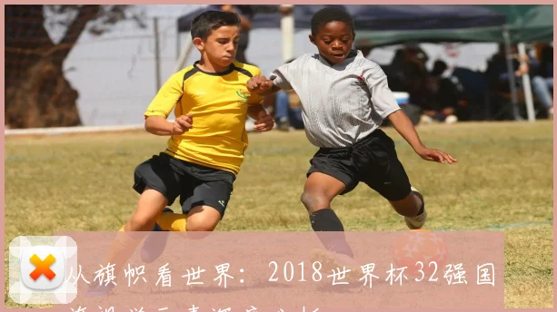 从旗帜看世界:2018世界杯32强国旗视觉元素深度分析