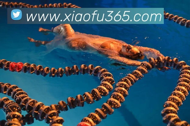 多媒体互动体验